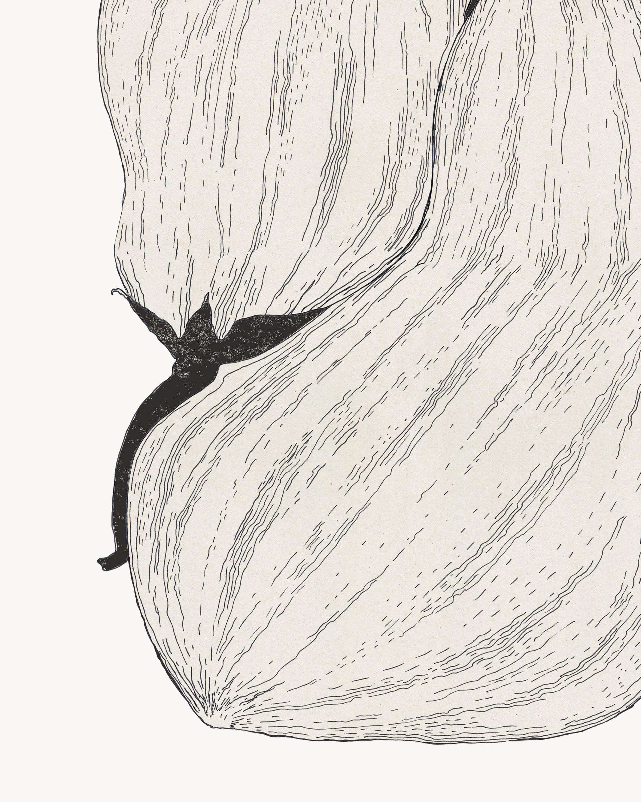 Plated aubergines. Exclusive kitchen posters. Premium quality art prints, printed on environmentally friendly FSC marked paper.