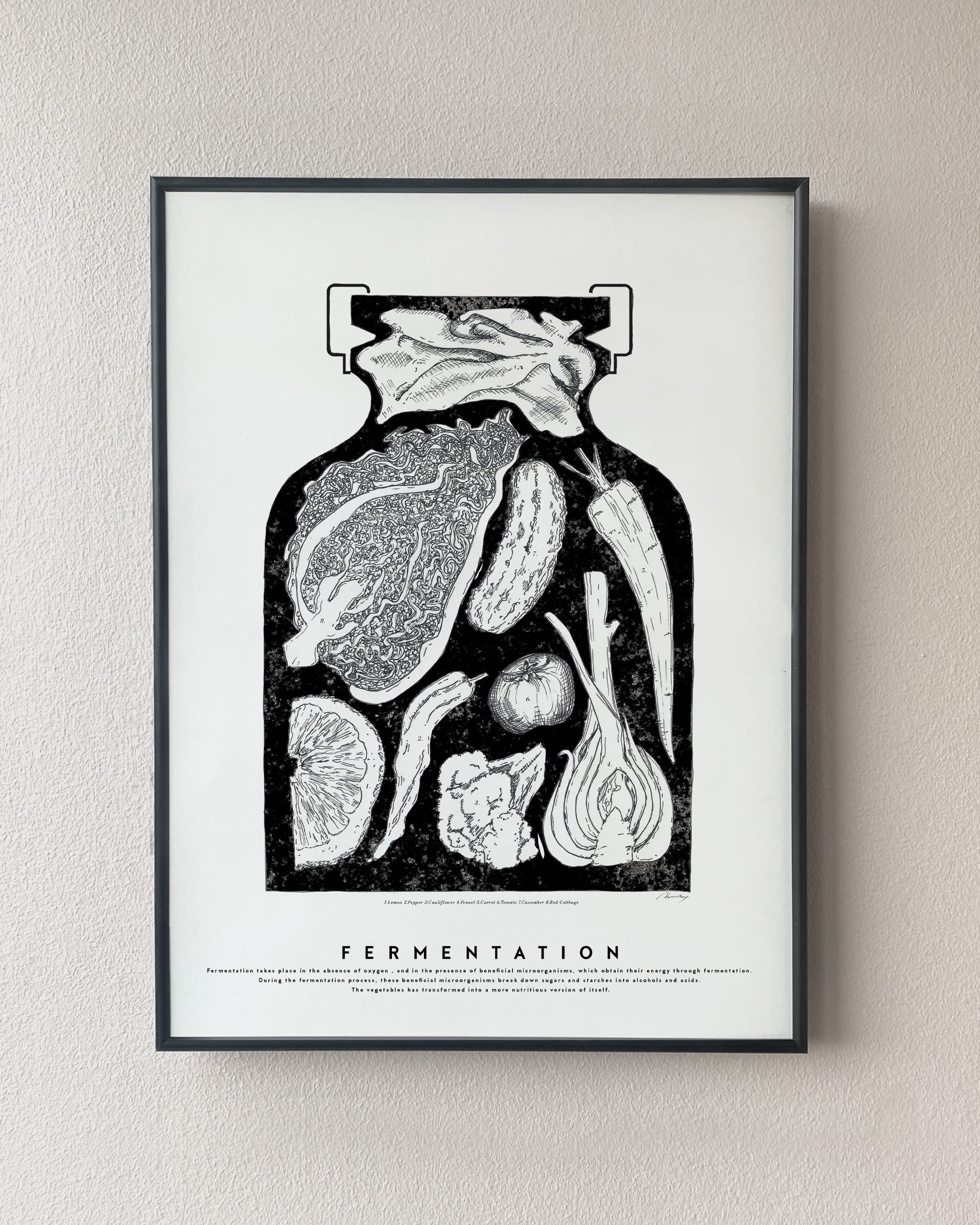 Fermentation recipe poster. Exclusive kitchen posters. Premium quality art prints, printed on environmentally friendly FSC marked paper.