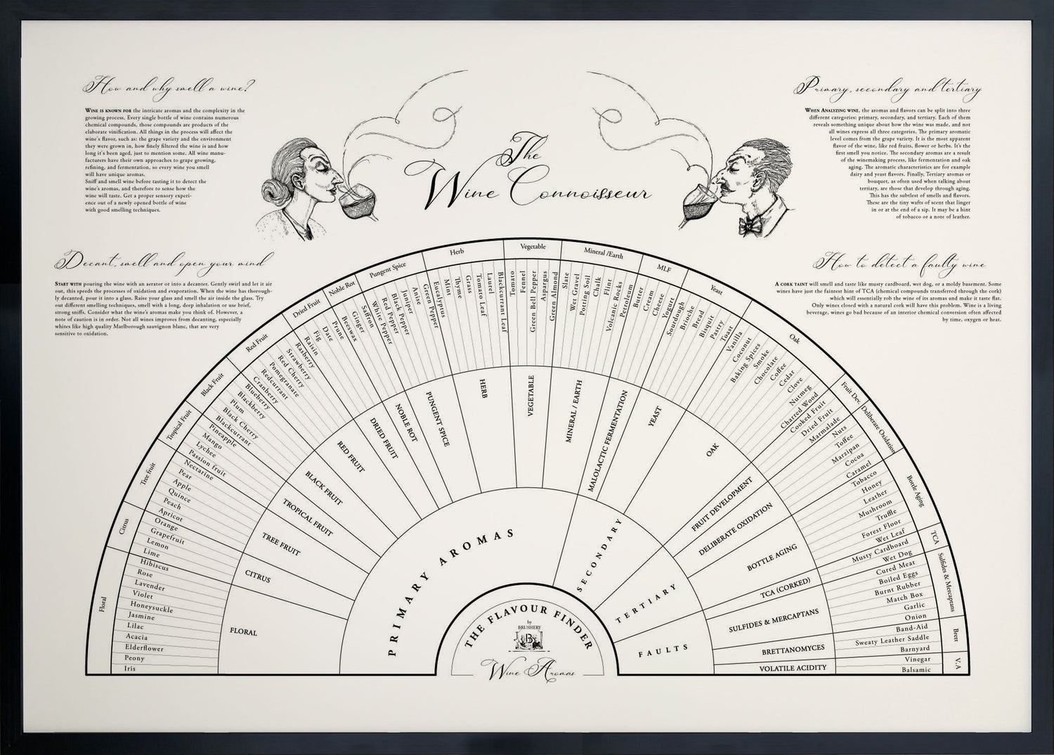 Wine art. Wine print. Wine poster. Flavour finder. Wine Aroma wheel, flavour finder wine, wine connoisseur. Exclusive kitchen posters. Premium quality art prints, printed on environmentally friendly FSC marked paper.