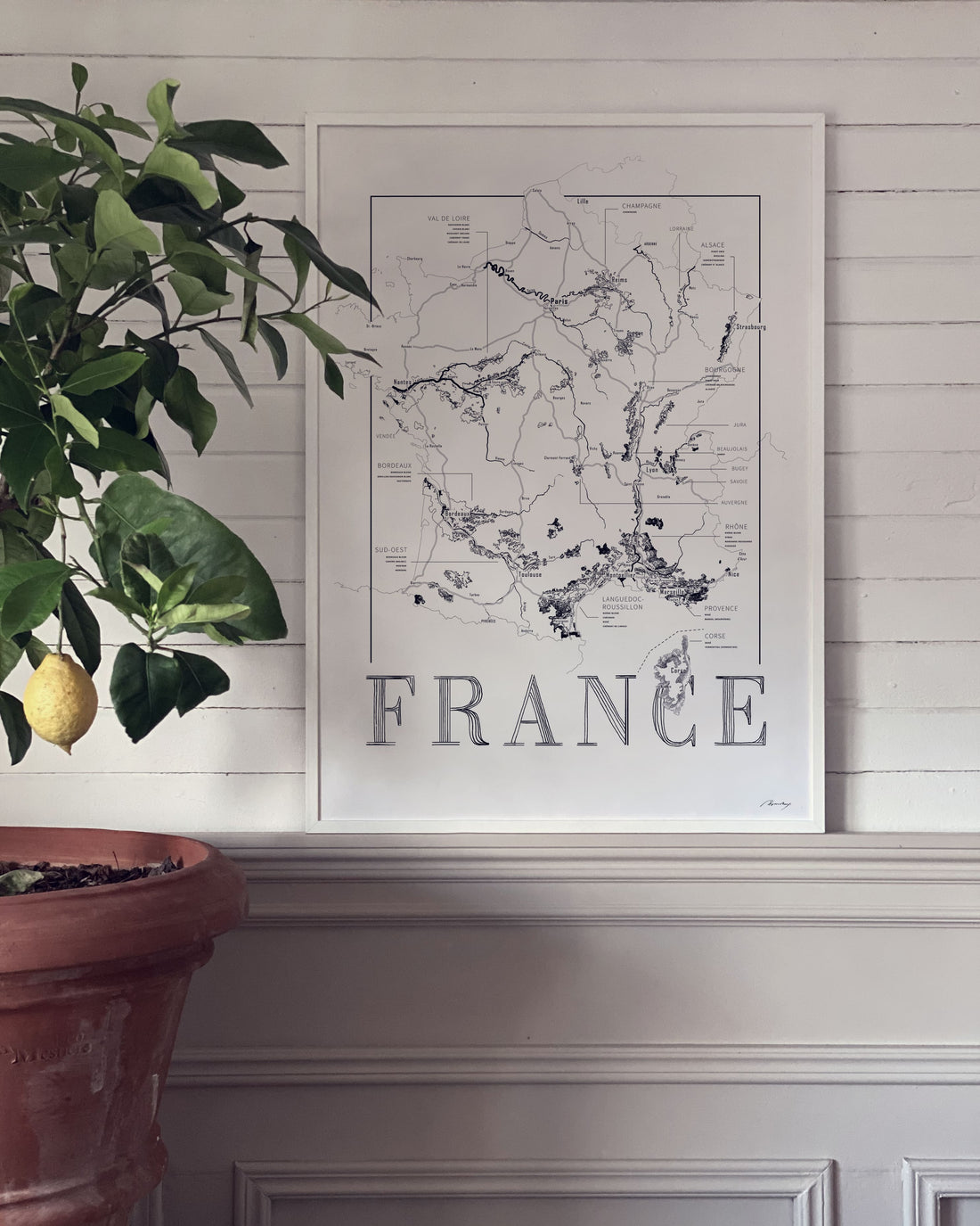 France Wine map poster. Exclusive wine map posters. Premium quality wine maps printed on environmentally friendly FSC marked paper.