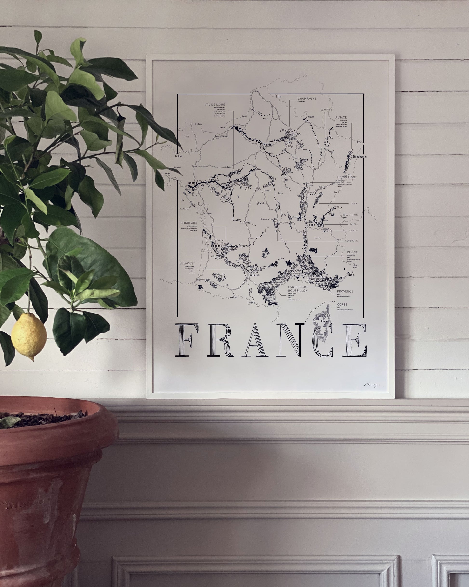 France Wine map poster. Exclusive wine map posters. Premium quality wine maps printed on environmentally friendly FSC marked paper. 
